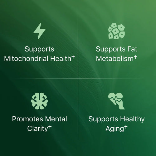 Alevia Amla Superfruit Capsules