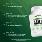 Alevia Amla Superfruit Capsules