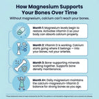 SPNutrition Magnesium Bisglycinate Gummies