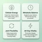 Amla Superfruit Extract By NutralisLabs